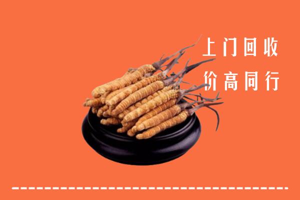 高价求购：南阳回收散虫草