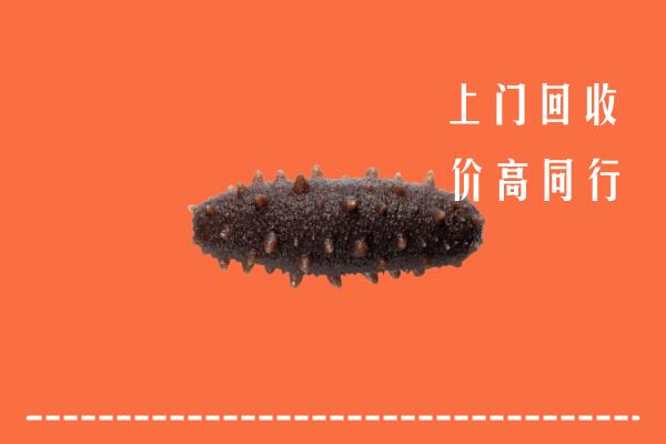 南阳回收海参