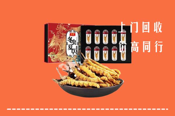 南阳回收虫草